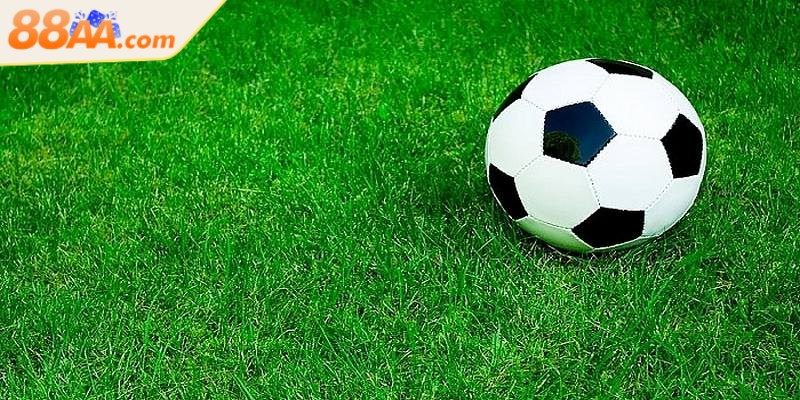 Anh em nên kiểm tra đội hình của cả hai đội trước khi quyết định